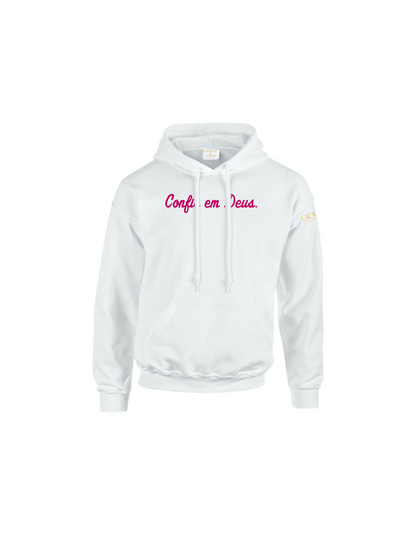 Trust God.  Unisex Hoodie, Script Font (Portuguese Edition)